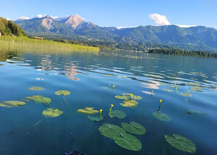 Haus Seebrise Dom wakacyjny Faak am See